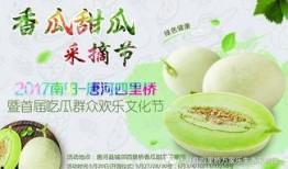 网红吃瓜大集合集,揭秘娱乐圈幕后风云